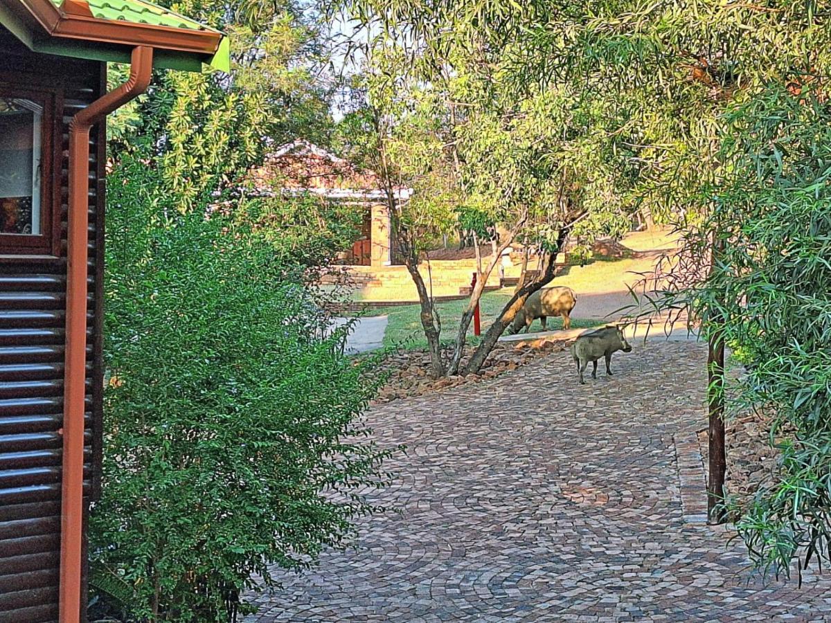 Loskop Serene Bush Cabin Winterkamp Екстериор снимка